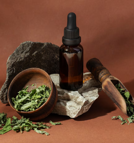 Saksham Ayurveda - Ayurvedic Healing